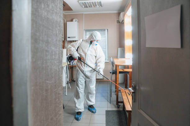 Best Emergency Mold Remediation  in Howland Center, OH