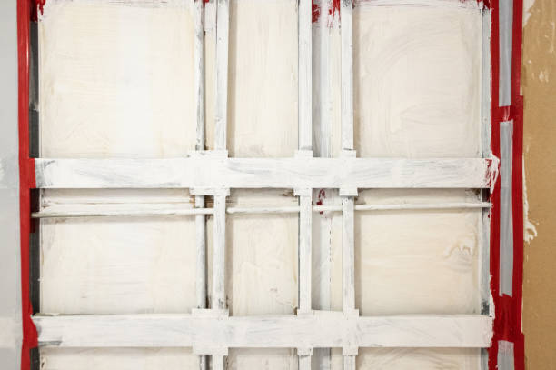 Best Airborne Mold Testing  in Howland Center, OH